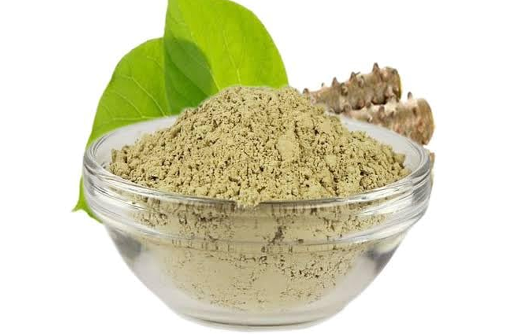 Giloy Extract